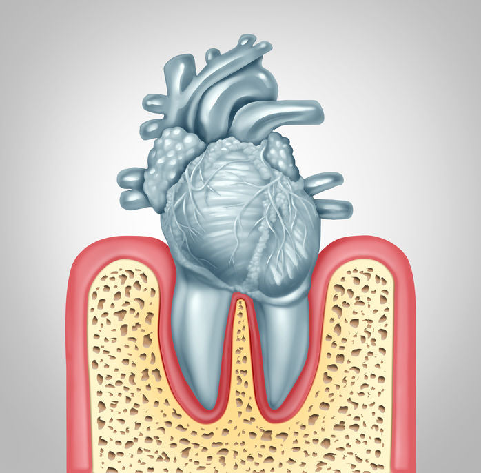 gingivitis, heart health and bacteria in your mouth and bloodstream