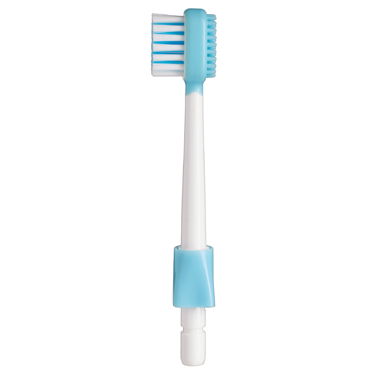 blue shower toothbrush that water flosses